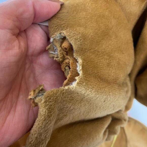 Scooby Doo Kids Halloween One Piece Costume Play Pretend Medium - Picture 6 of 9